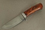ironwoodw-2m.jpg