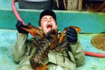 lobster eating man.jpg
