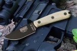 ESEE3HM.jpg