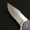 carbon bear3.jpg