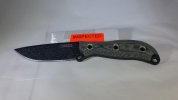 Busse CG AD 1.jpg