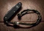 Pioneer_lanyard.jpg
