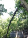 thumbnail_IMG_5656.jpg
