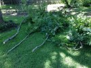 thumbnail_IMG_5658.jpg