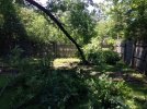 thumbnail_IMG_5659.jpg
