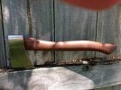 thumbnail_IMG_5660.jpg