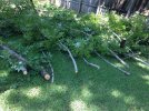 thumbnail_IMG_5666.jpg