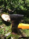 thumbnail_IMG_5668.jpg