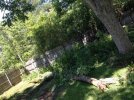 thumbnail_IMG_5673.jpg