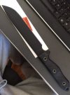 Busse DSSF1.JPG