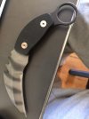 Strider Karambit 1.JPG Strider Karambit 1.JPG