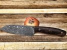 Steffen M. A120.539_o.jpg