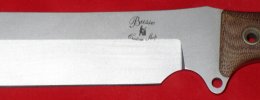 busse 003.jpg
