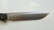 Busse_S1.jpg