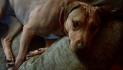 IMG_20160705_223255_hdr.jpg