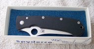 Spydie.jpg