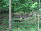 IMG_0043.jpg