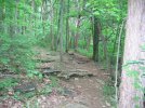 IMG_0050.jpg
