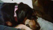 IMG_20160717_213216.jpg