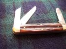 GEC 53 acorn aged2.jpg