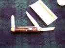 GEC 53 acorn aged3.jpg