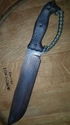 Busse4.jpg