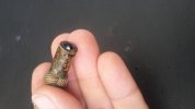 20160726_113051.jpg