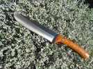 Seax in Sage.jpg