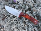 Tusk in Purple Sage.jpg