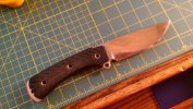 WP_20160717_015.jpg WP_20160717_015.jpg