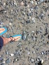 beach.jpg