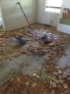 Living Room Floor Demo.jpg