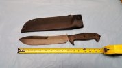 Dawson Desert Bowie.jpg
