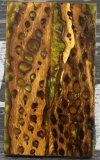 Amber Cholla Cactus.jpg