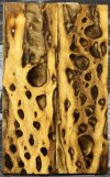 Gold Cholla Cactus.jpg