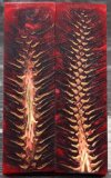 Red Pine Cone.jpg