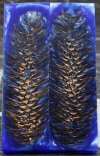 Royal Blue Pine Cone.jpg