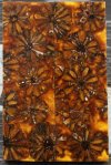 Sunset Sweetgum Ball.jpg