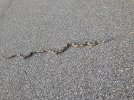 thumbnail_IMG_6308.jpg