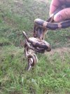 thumbnail_IMG_6309.jpg