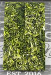 Venom Green Razor.jpg Venom Green Razor.jpg