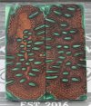 Green Banksia Pod P1.jpg Green Banksia Pod P1.jpg
