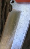 IMG_1477.jpg