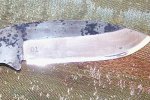 100_0242.jpg
