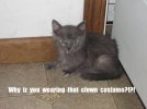 stormy001.jpg