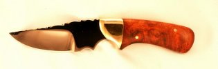 Fence Rider 006.jpg