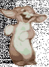 bunny-rabbit.gif