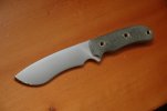 BT4recurve.jpg