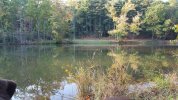 20161023_165320.jpg 20161023_165320.jpg