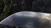 IMG_20161031_163717235.jpg